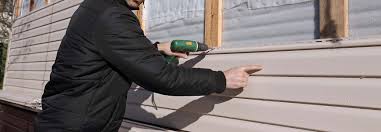 Best Fascia and Soffit Installation  in Iola, WI